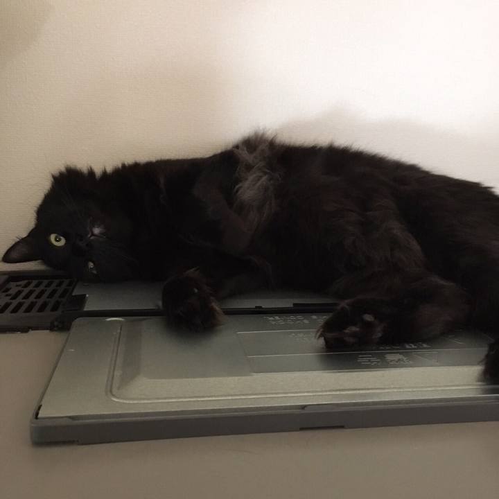 C21fbc96 0337 4302 9cc5 6099c3a79bc1