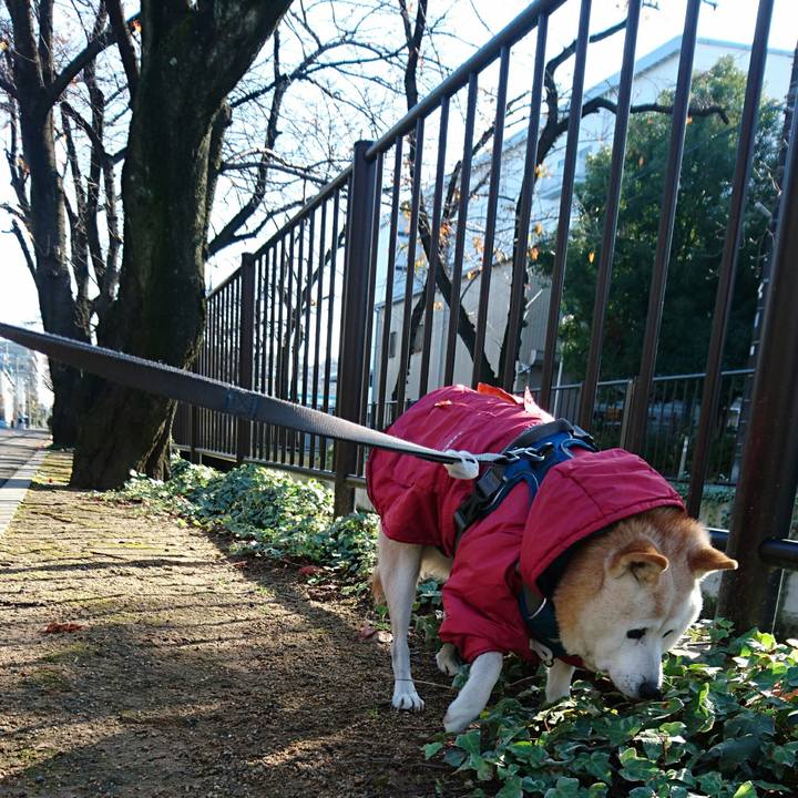 C21ff53e a0bd 4d11 aceb f146097d4f1d