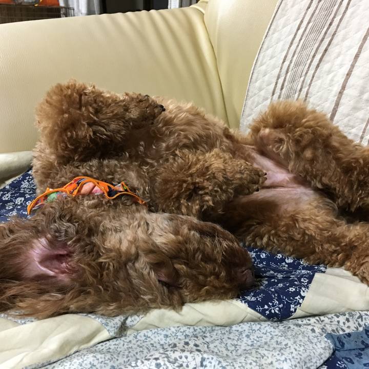 C22039c0 ccf4 48ad b5eb 394f55ff2c31