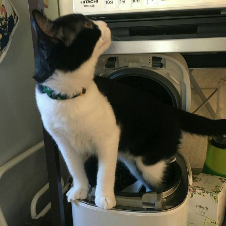 C22182ca 3ca3 4b94 a9fc 76fcb682adda