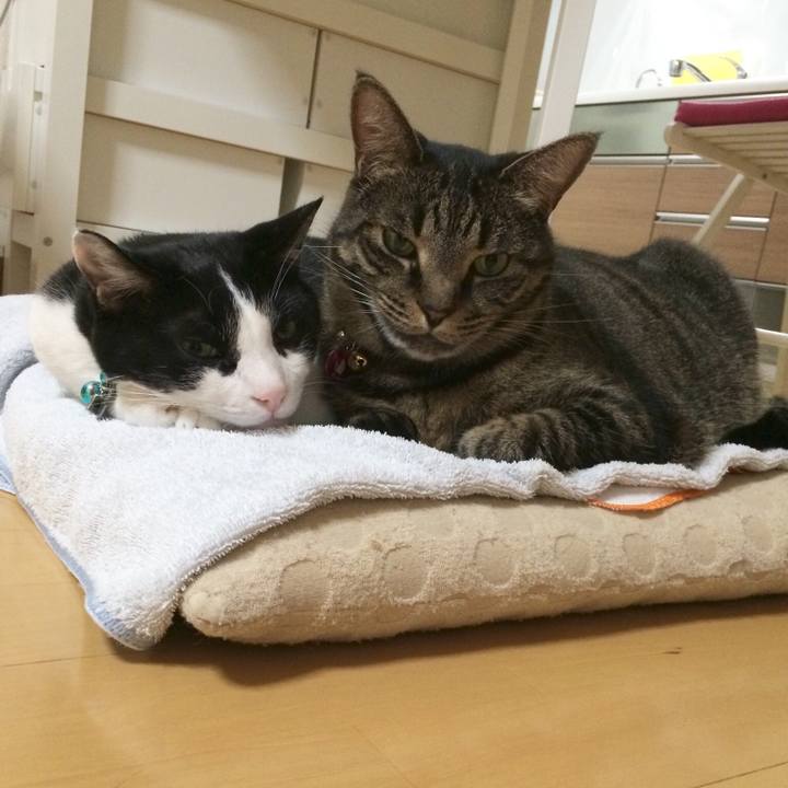 C2221865 f8ec 41be 9c83 380cedd09607