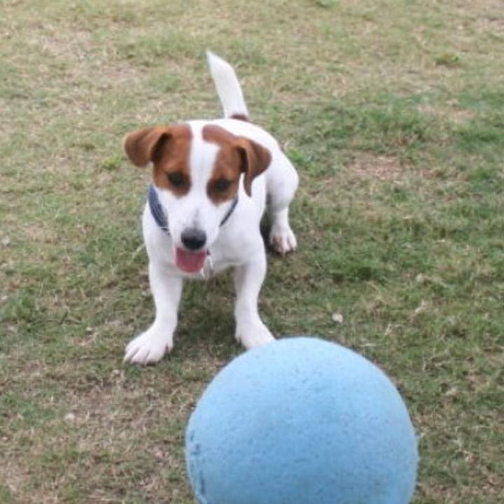 C222aae5 cb59 458f 9102 4218e3e18a34