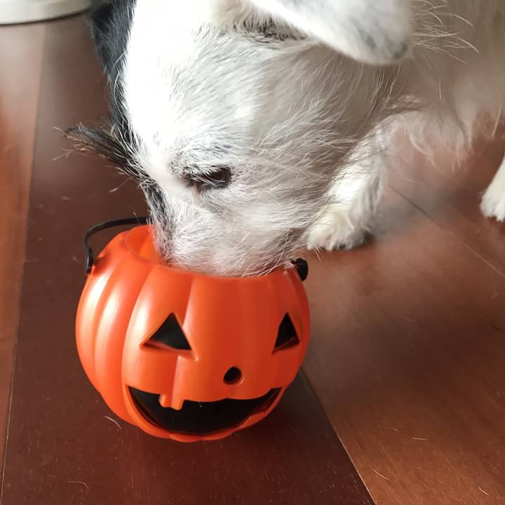 C222c449 e404 4568 90e4 125c408c5f6e