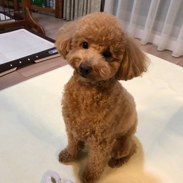 C223595a 5e7a 4321 b7fa c87c82d6dc2c