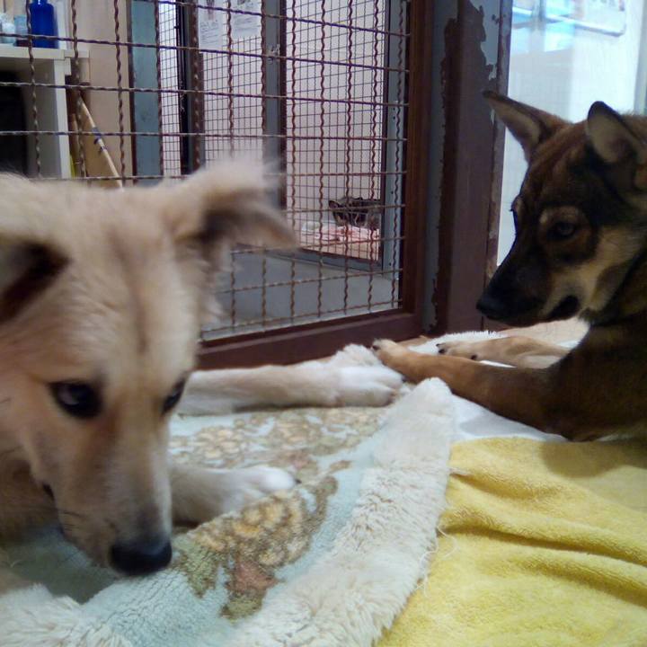 C2248ac8 1f06 4f96 9423 c0bf9fa72f9f