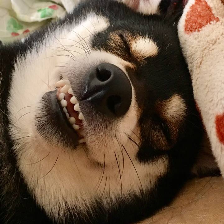 C2255f6c 6764 4f12 9235 3114edc799a7