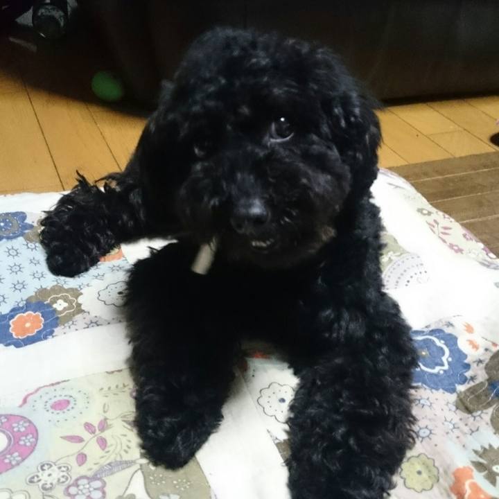 C22585ca 4c4a 4d12 b771 dca9a24cc0c8