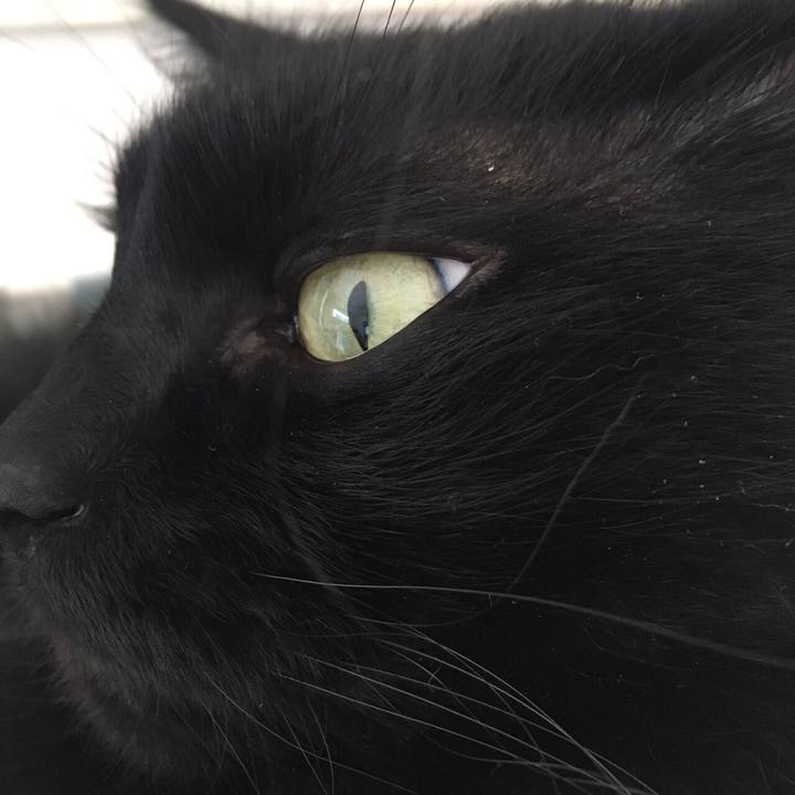 C2266eb4 ebc8 418e 9024 dae091bf25fd