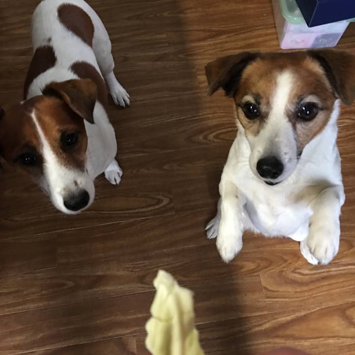 C226873b 7ef0 4d7e aa1b 89c6a4bee54e