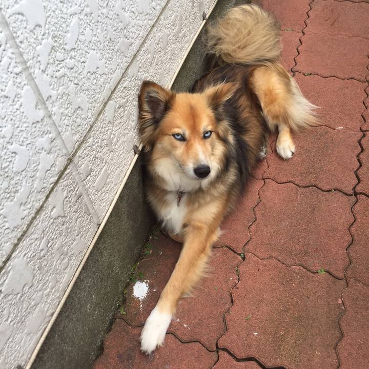 C2270f79 d113 40c8 b579 1c47c8bdfe76