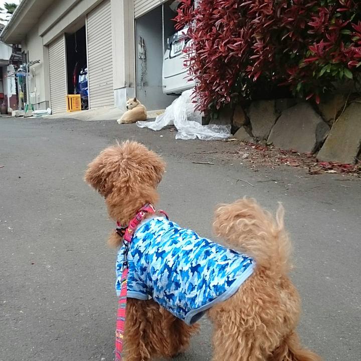 C227acd5 cef5 4b29 b0c5 863c79cf4239