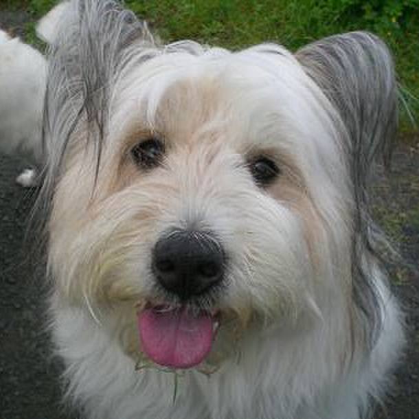 C227f7d3 9adc 45a3 a8e0 b4ad206ac18e