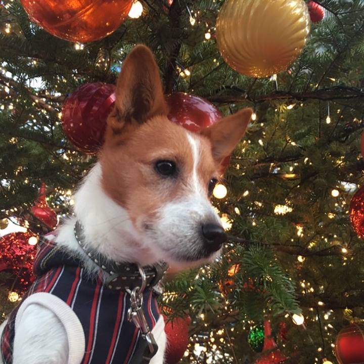 C228772e 1f3b 441e bfa0 154994864097