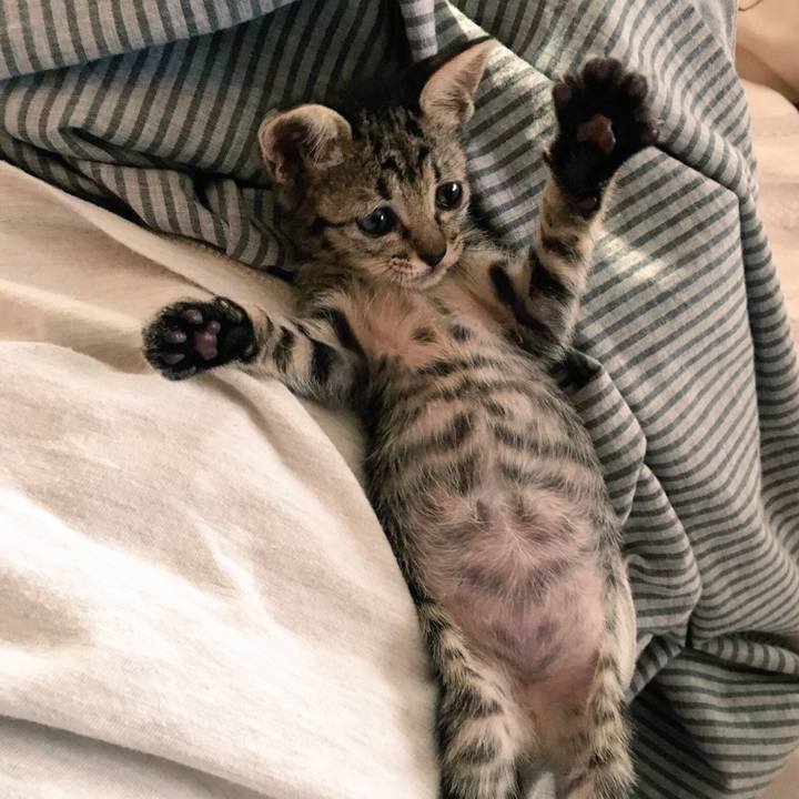 C228a6da df5a 4bd0 a8ff 234bdb67fa1d