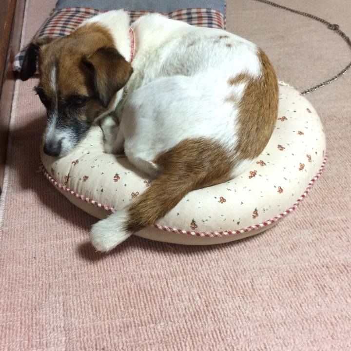 C228d126 5275 40cd b50f fbad68bd8d7d