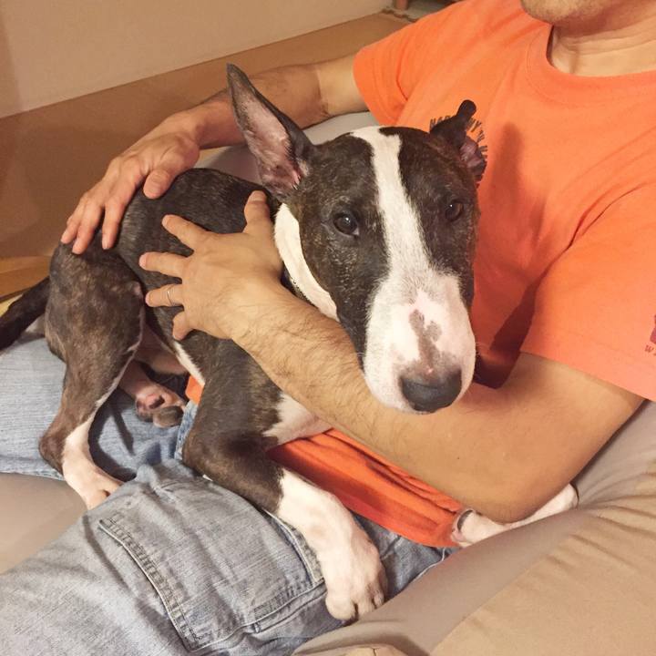 C229eabf d691 427e bf60 e630eda53edc