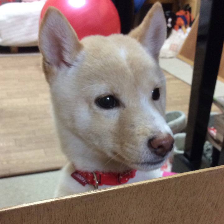 C22a0279 e4b2 4982 a23d beca62e30848