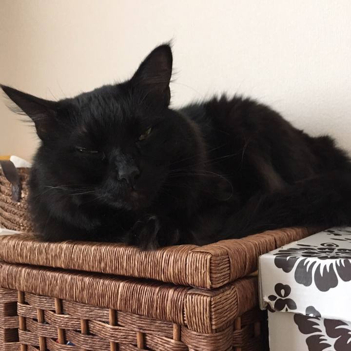 C22aa9ae cd48 475e 95cd 4d521174aa08