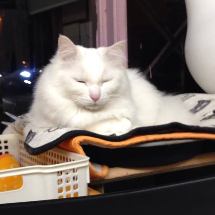 C22cc758 54bc 4fff bb7b 02c337581430