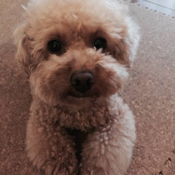 C22d0021 e606 455b 835a 78259bc78f2e