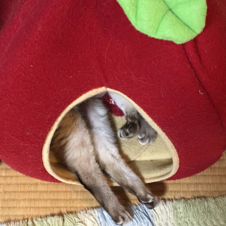 C22d250e 6953 4e25 a950 07cf7ac0b1e2