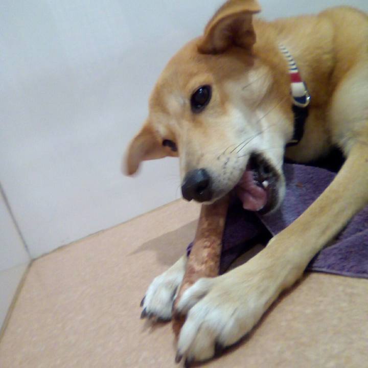 C22e1ab8 a1f8 4d4b a9c1 5916b698eb9a