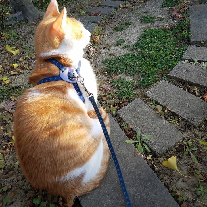 C22e1b95 a8d6 4139 ace9 33880295c664