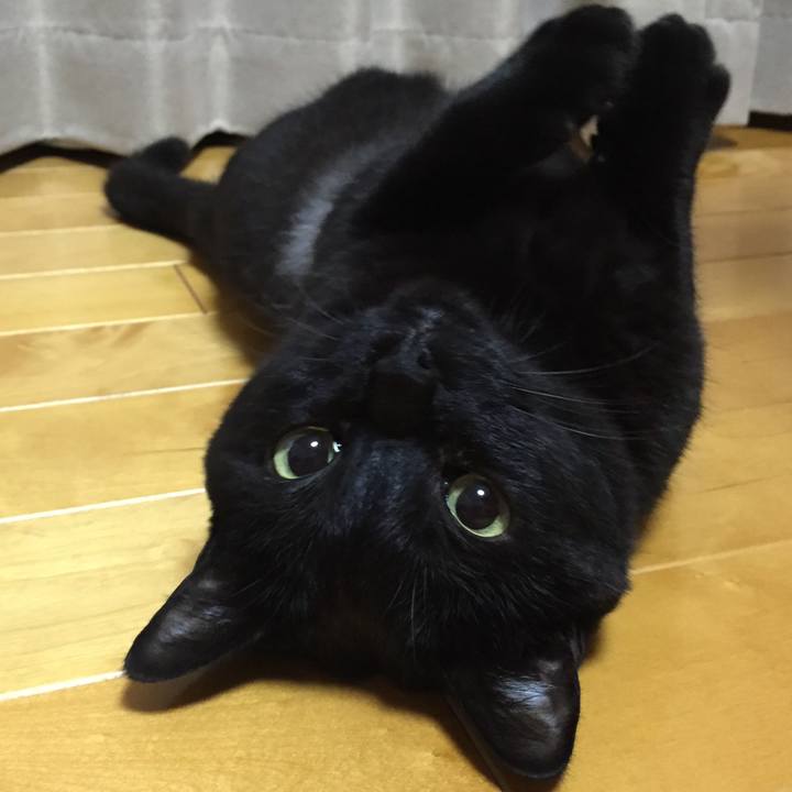 C22e301c 5cc9 46b0 9662 390b6834fb60