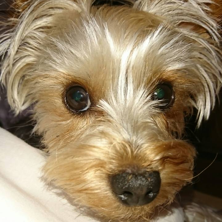 C22e4de7 6d69 47e9 bd57 eb2172e51476