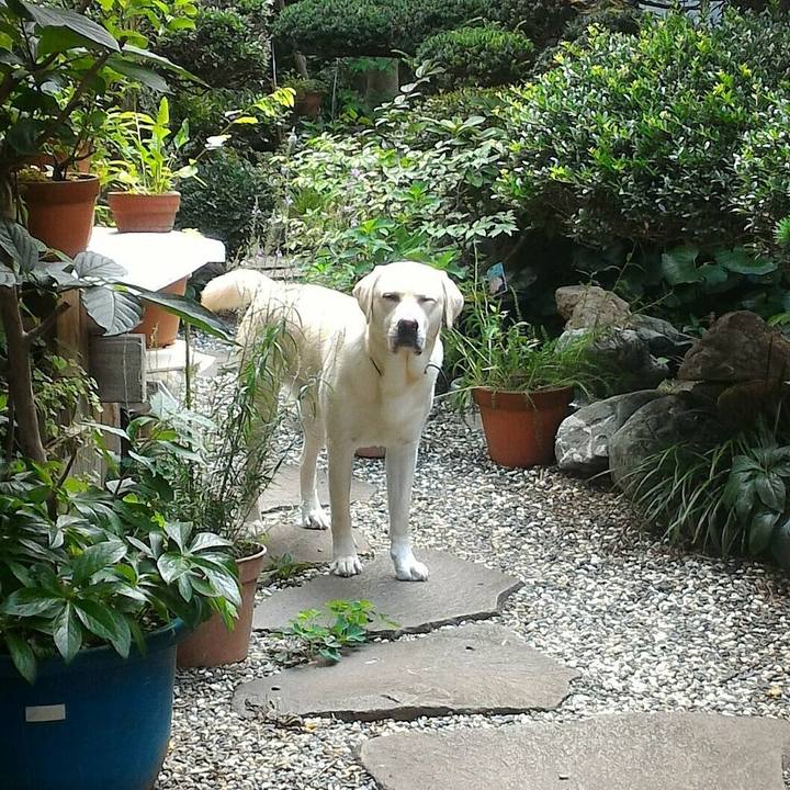 C22e5675 2ff1 49d1 a6ee 13c379e32966