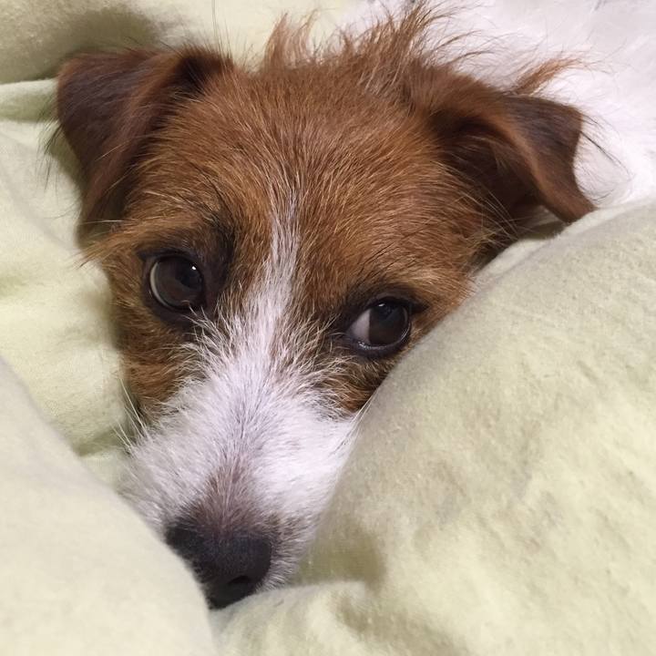 C22e6a08 fa68 4f6d 85e3 6ced947d7dbb