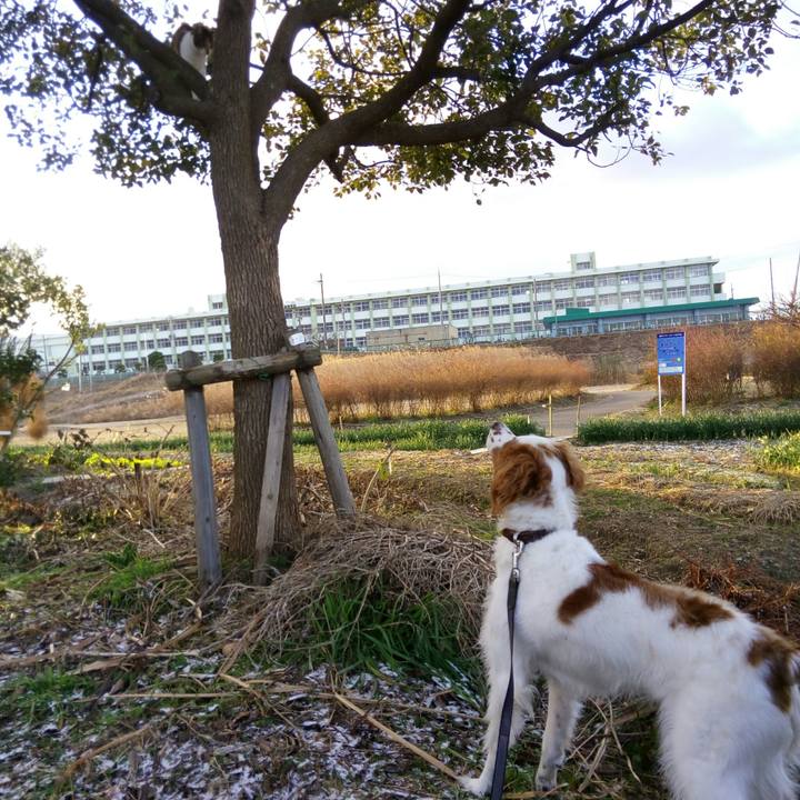 C22ec534 22db 4ba4 b15d 79a306f0ab12