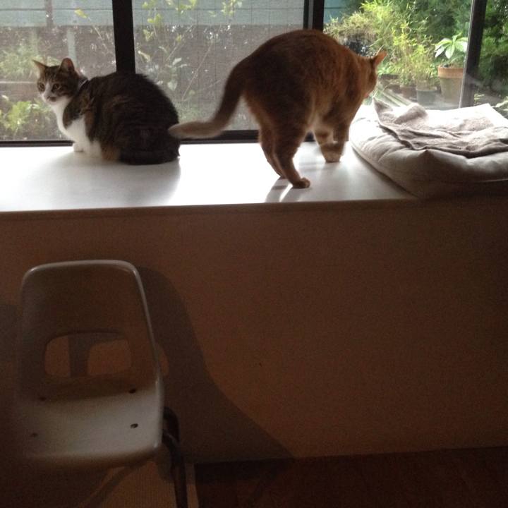 C22f708b 6a34 4b50 9bf1 22d3e110847e