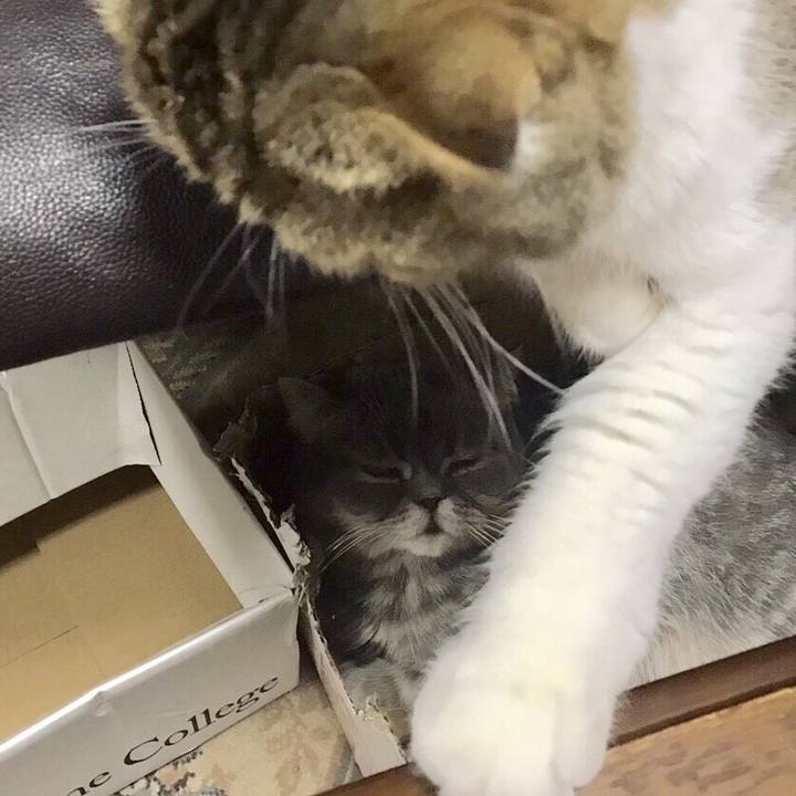 C22fca82 875d 45b5 8cb3 e854542b9184