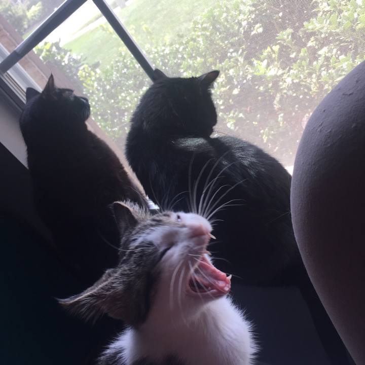 C2301a2b 9741 46ff a26a 9bb4df2139c9