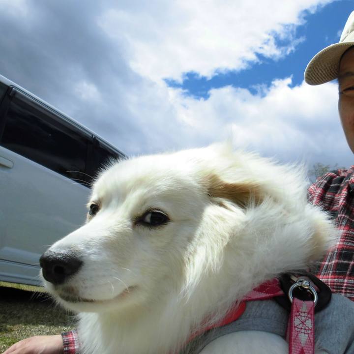 C2308fd9 1c82 4e4c 82b4 cae4f6f0b390