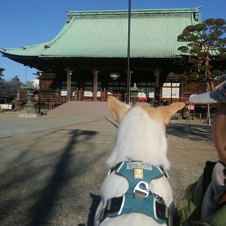 C230cac0 ecea 42cc ac7c 2bdad89b0a7b