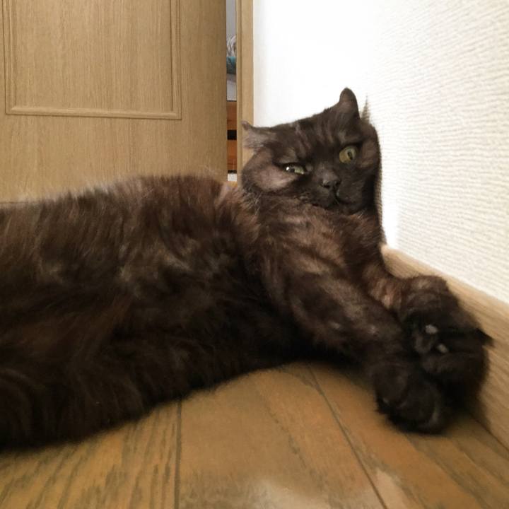 C2311e3c 9aaf 46e7 9c2a 804fbe28a82e