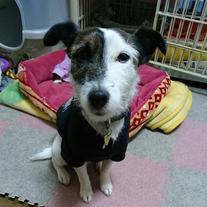 C2317409 639e 4cbd a48f c3cfc63b0bfe