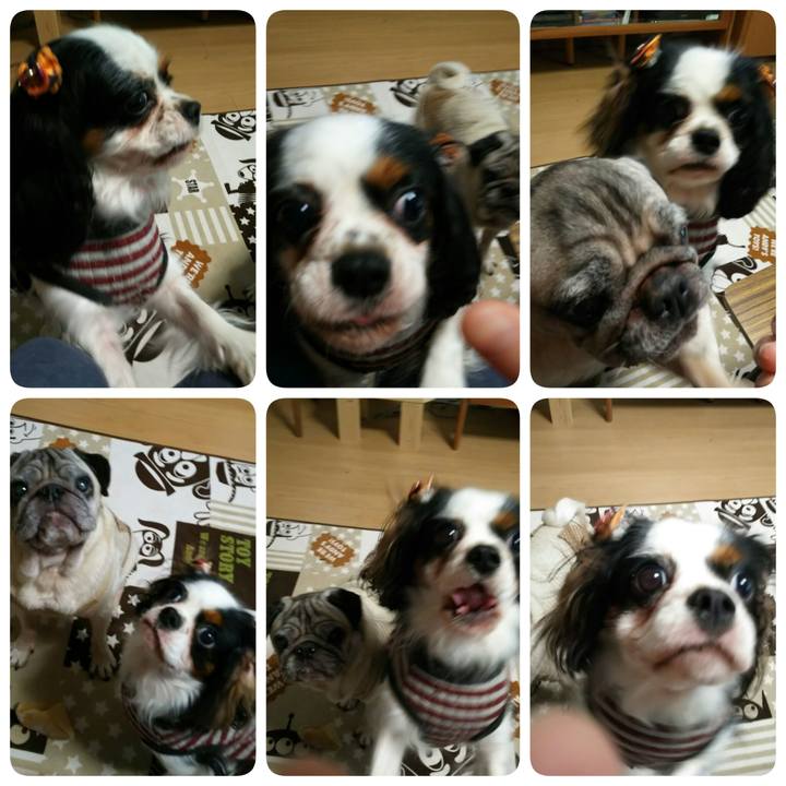 C2319471 992a 4205 89b9 7663345f3535