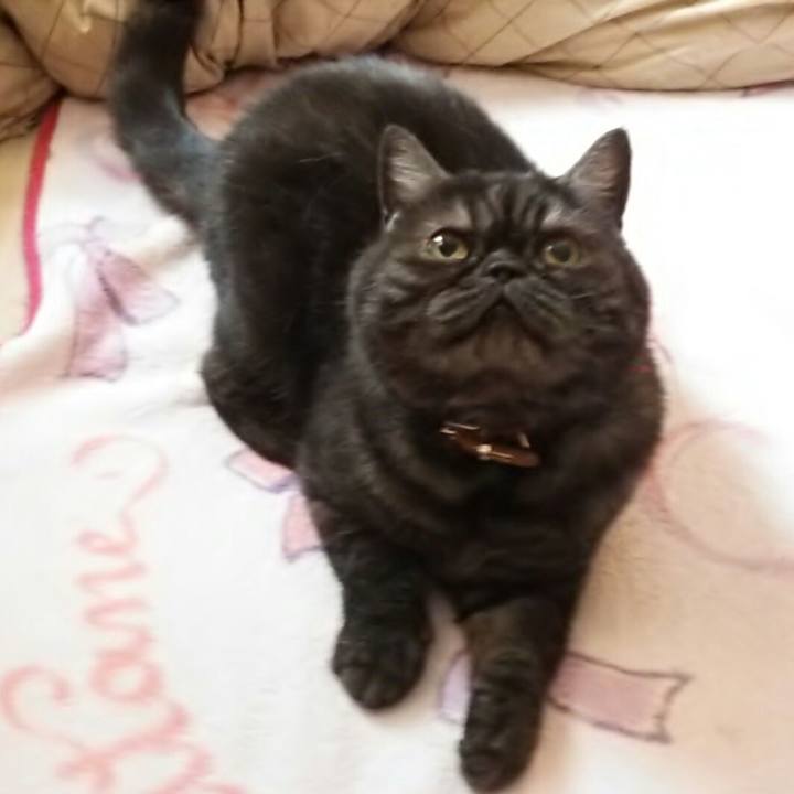 C231e21e c655 4523 b804 5aafc54e3b1c