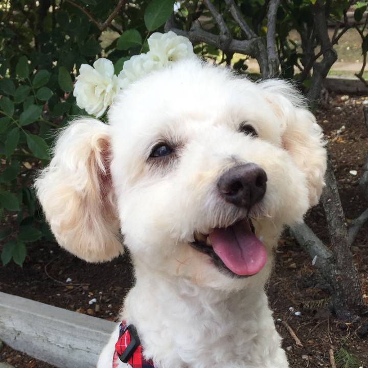 C2329033 bc00 491e a1a2 e8431dff7dce