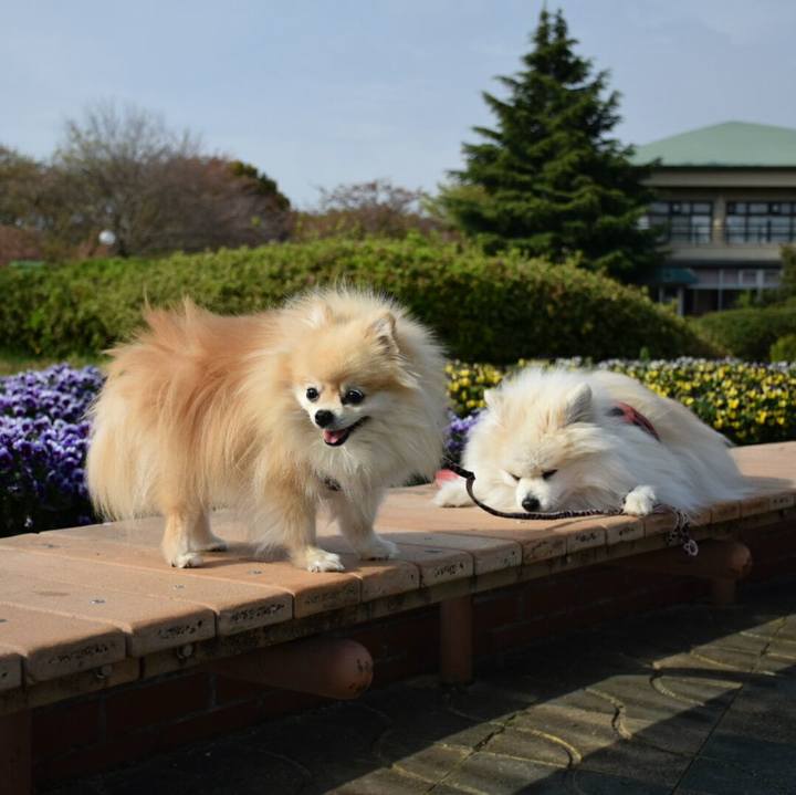 C2332d0d 72e0 47e5 bbc8 95bf6a6f203c