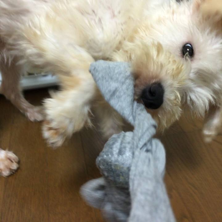 C2333656 ab64 44a7 ac11 ad470455b66f