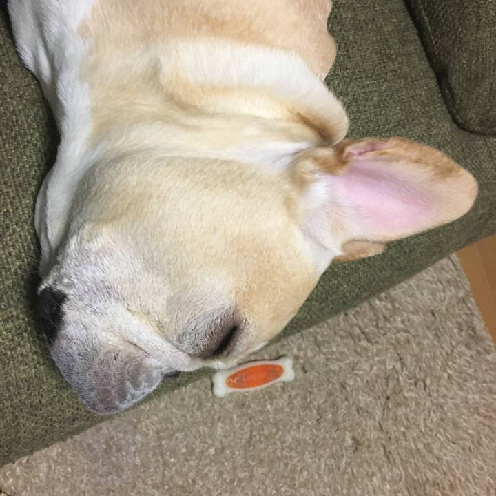 C233bca7 10a4 4d73 a8ef fdebb33060e0