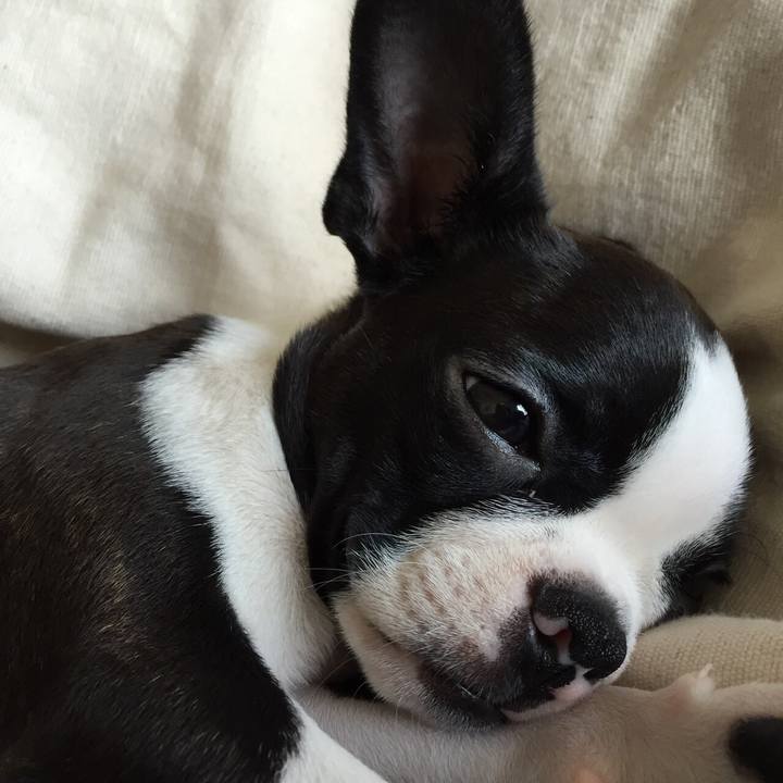 C23406b9 7f70 44ea afac f9744ecd43f0