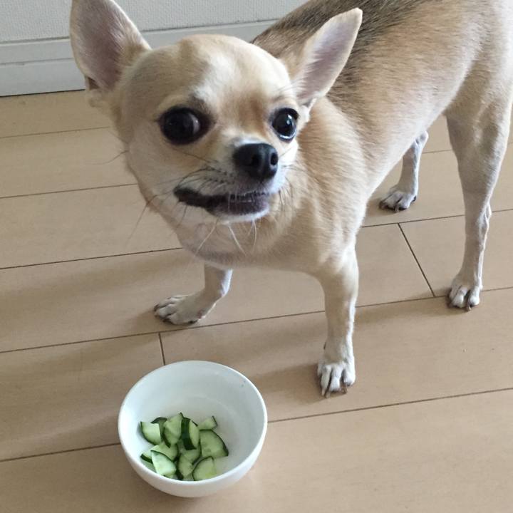 C2341dec c23c 41a6 8eba 2c09247bc030