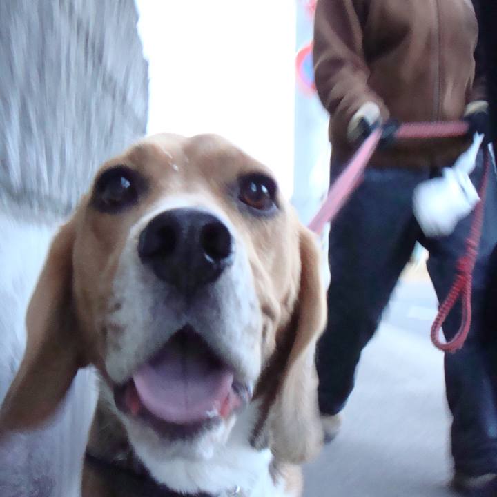 C234635b 003a 4bc4 93b1 d5f8119ece6c