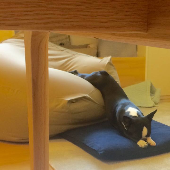 C234c250 a084 4187 8627 2189187f1916