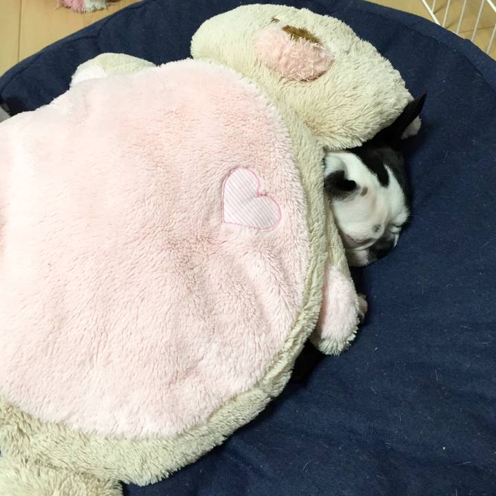 C234ce63 0738 4a99 83ab e82d0943a85d